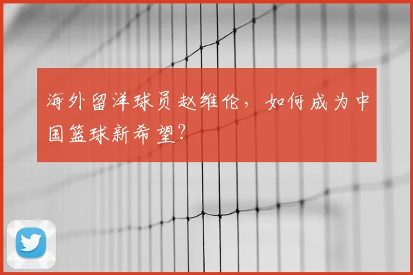 海外留洋球员赵维伦,如何成为中国篮球新希望?