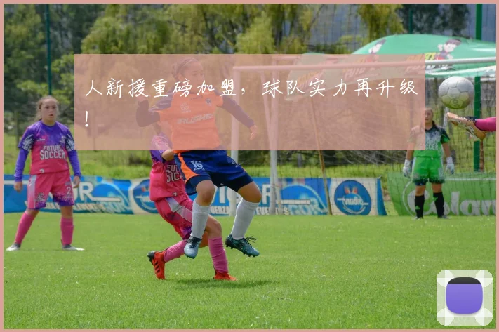 人新援重磅加盟，球队实力再升级！